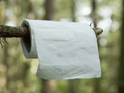 A roll of toilet paper on a tree branch